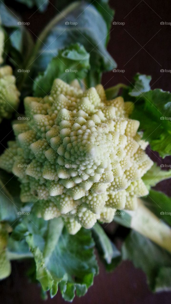 High angle view of spiral cauliflower