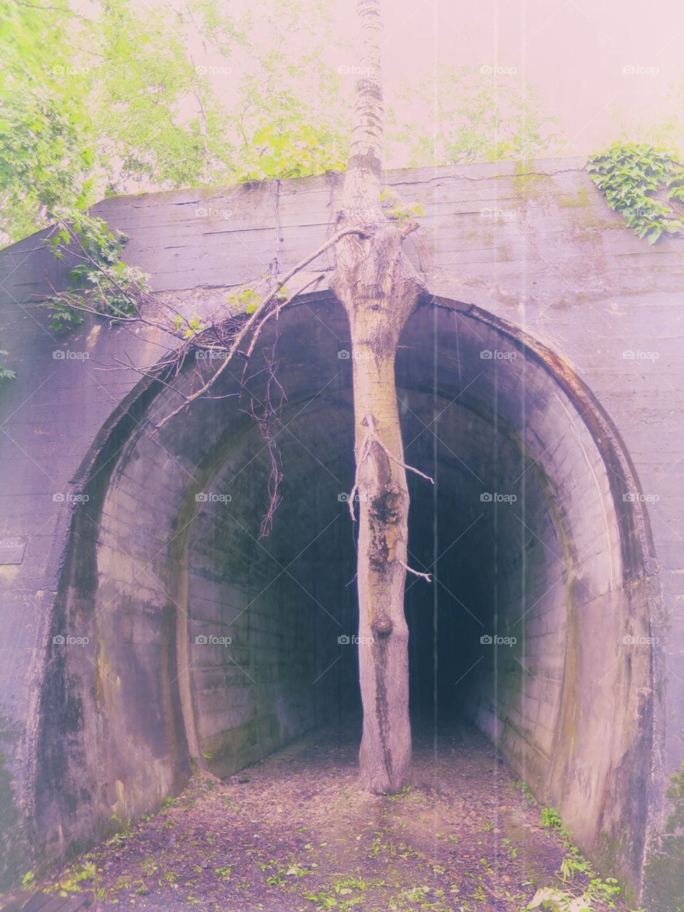 Unusual tunnel