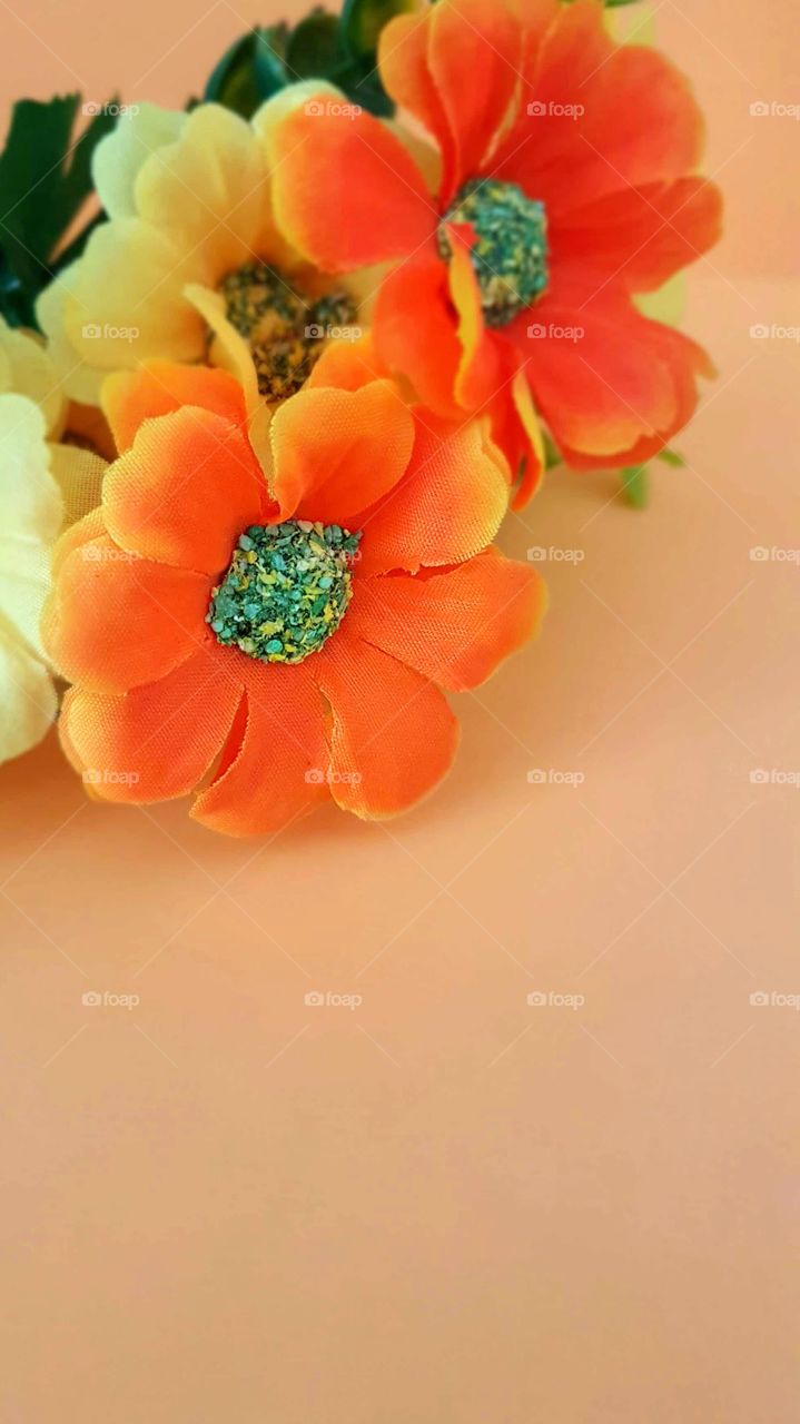 Orange flower