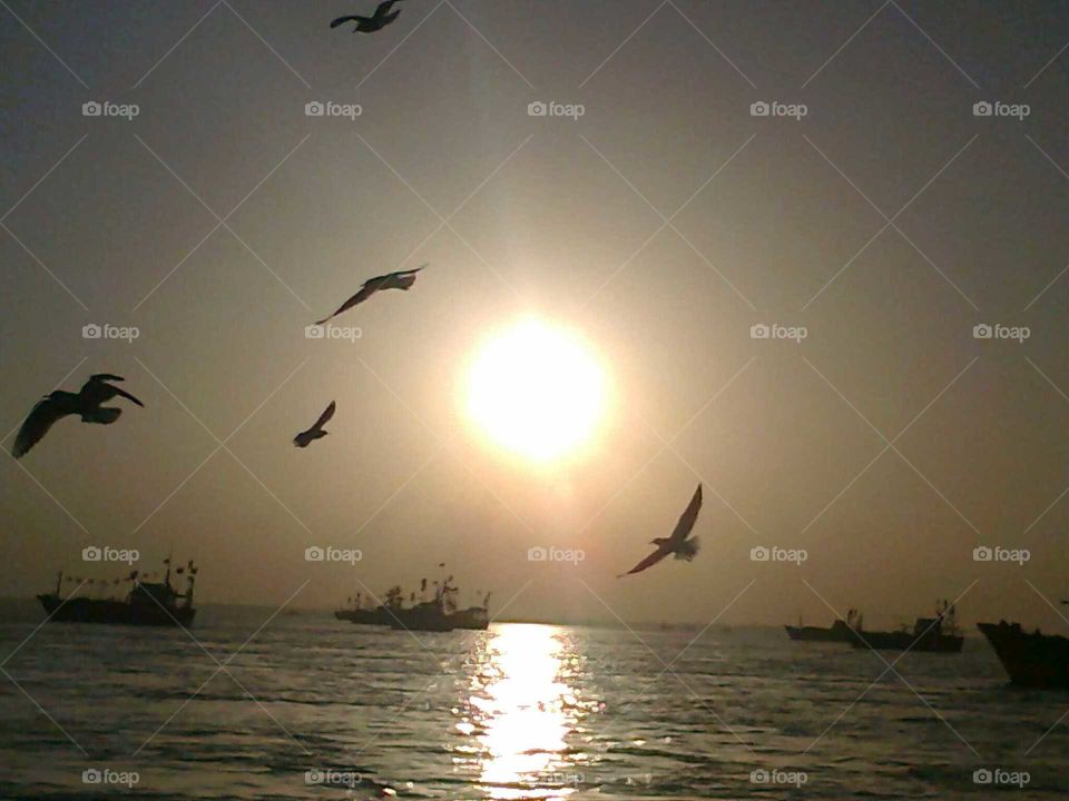 this photo was taken in Gujarat while returning from biet dwarka. This pic shows a the time of sunset and all the boats are returning back to the dock. While the sailors are returning home, someone else is also going back to their family.