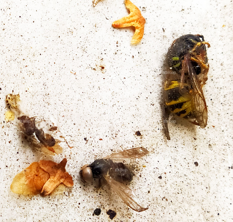 Autumn ... Beginning of the End