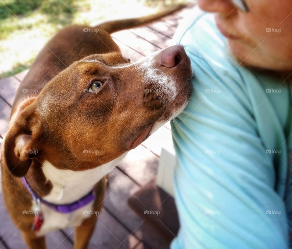 Sweet Summer memories of a man and his dog