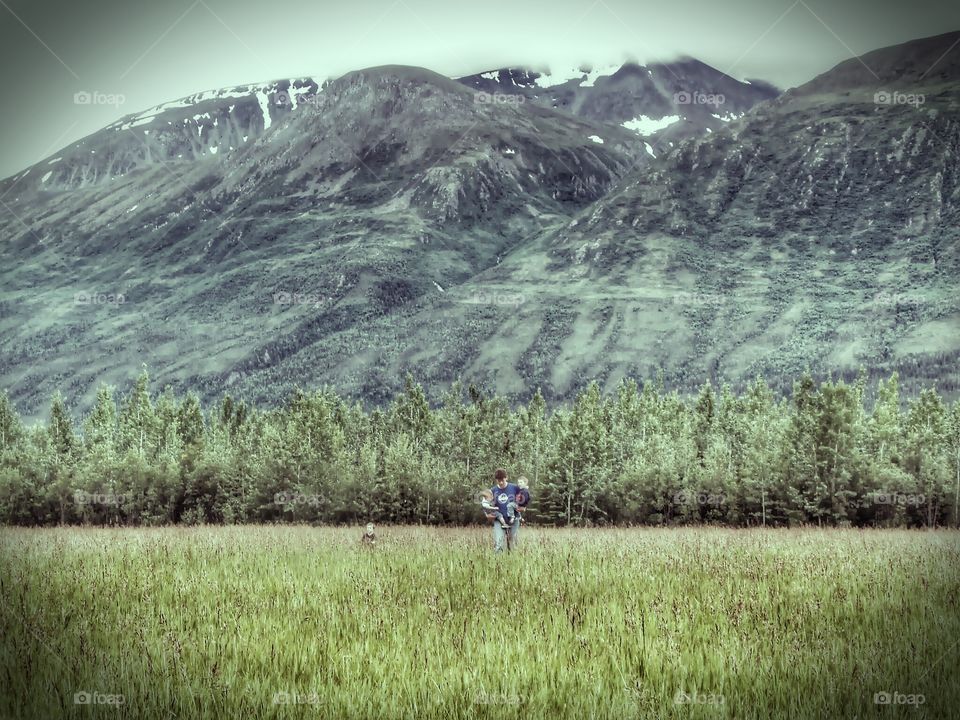 Alaskan Back Yard