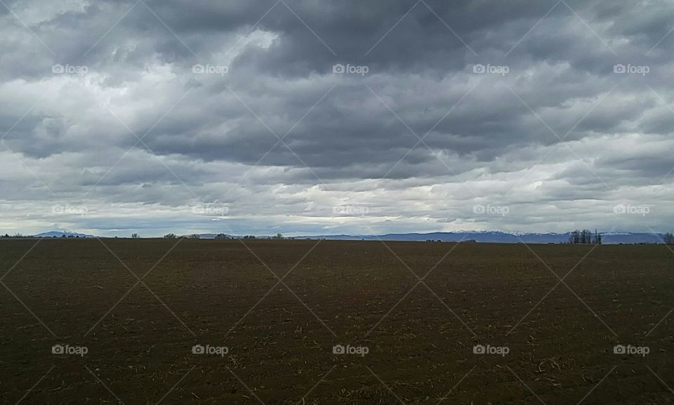 cloudy field