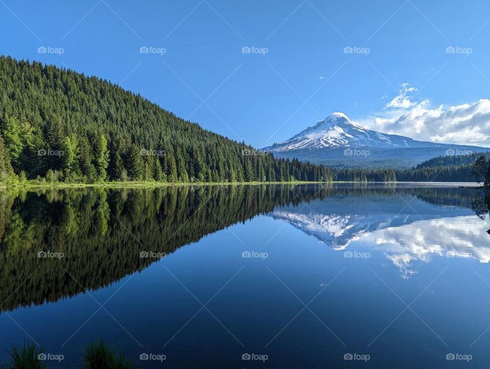 mountain and forest reflection on a still blue lake with white fluffy clouds in the clear skies coming in over the mountain Mt Hood landscape