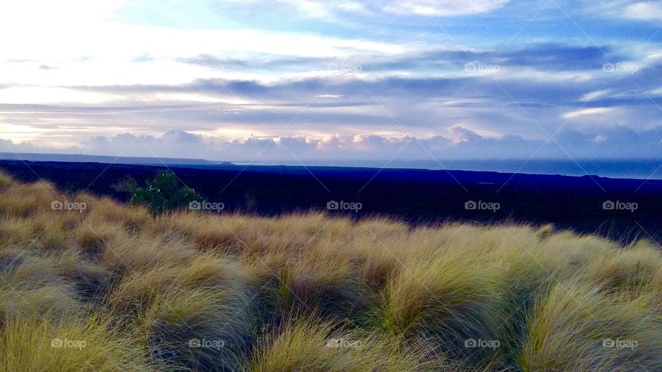 Grassland, lava fields and ocean