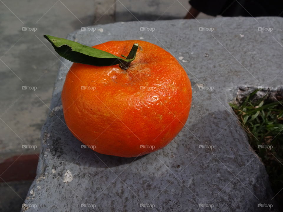 tangerine chiapas