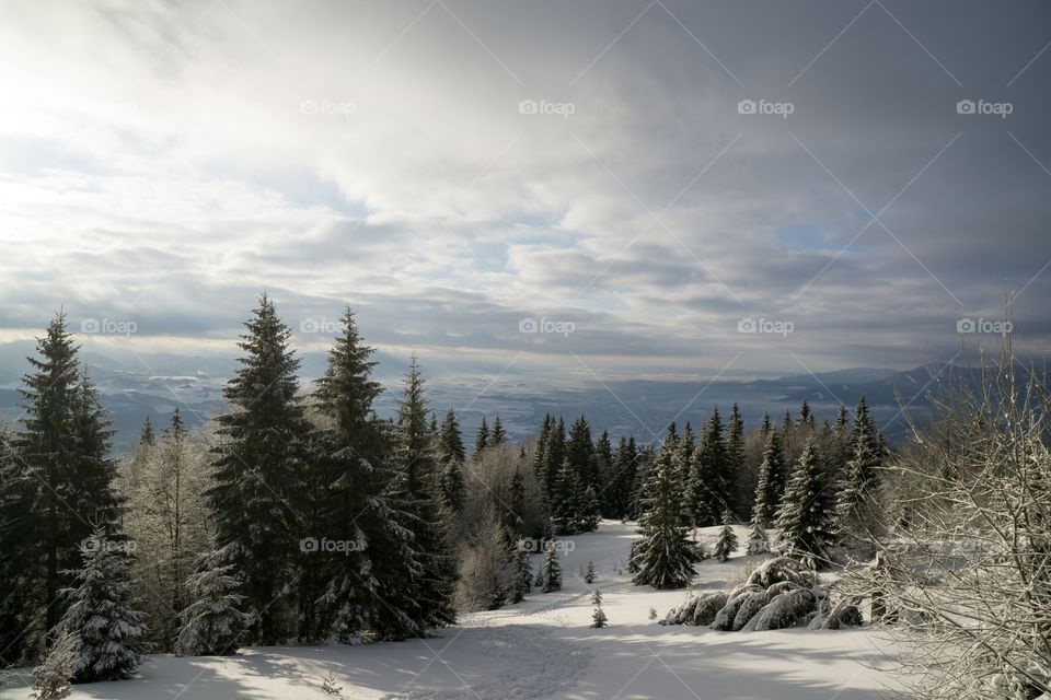 mountains covered by snow during winter. Slovakia