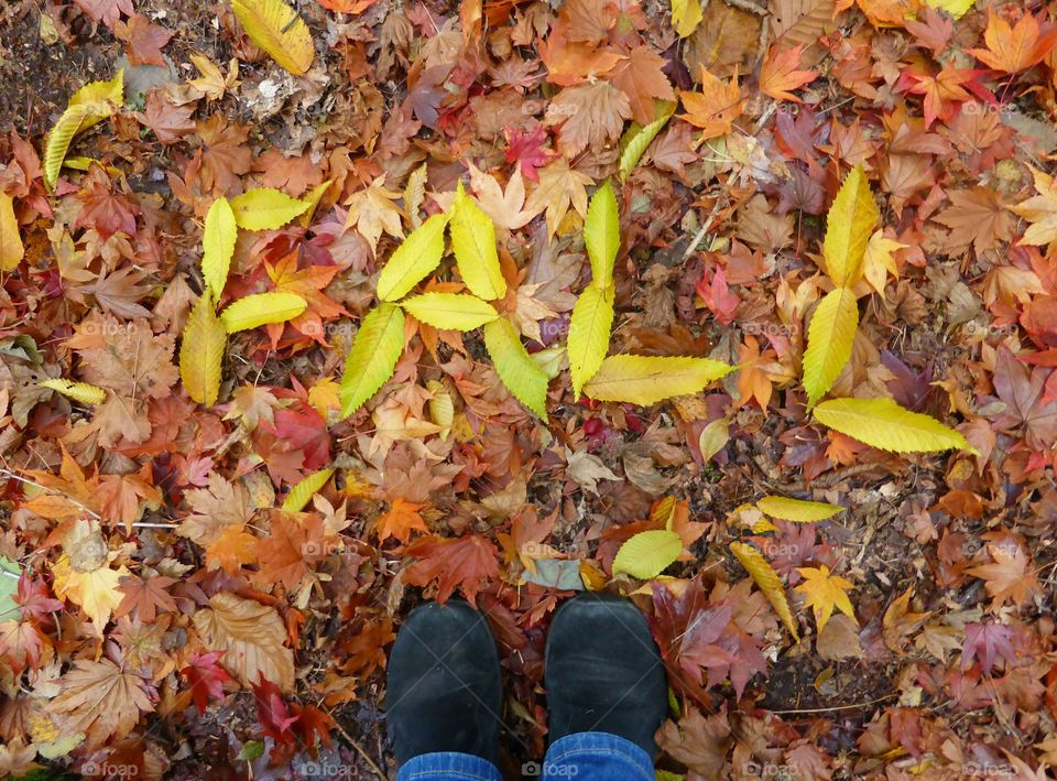 Writing fall with leaves