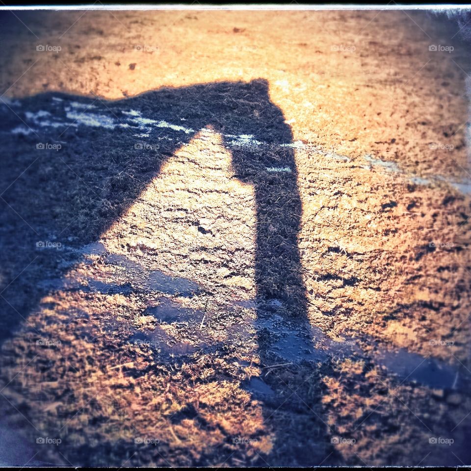 Shadow friends. My shadow and my shadows friend