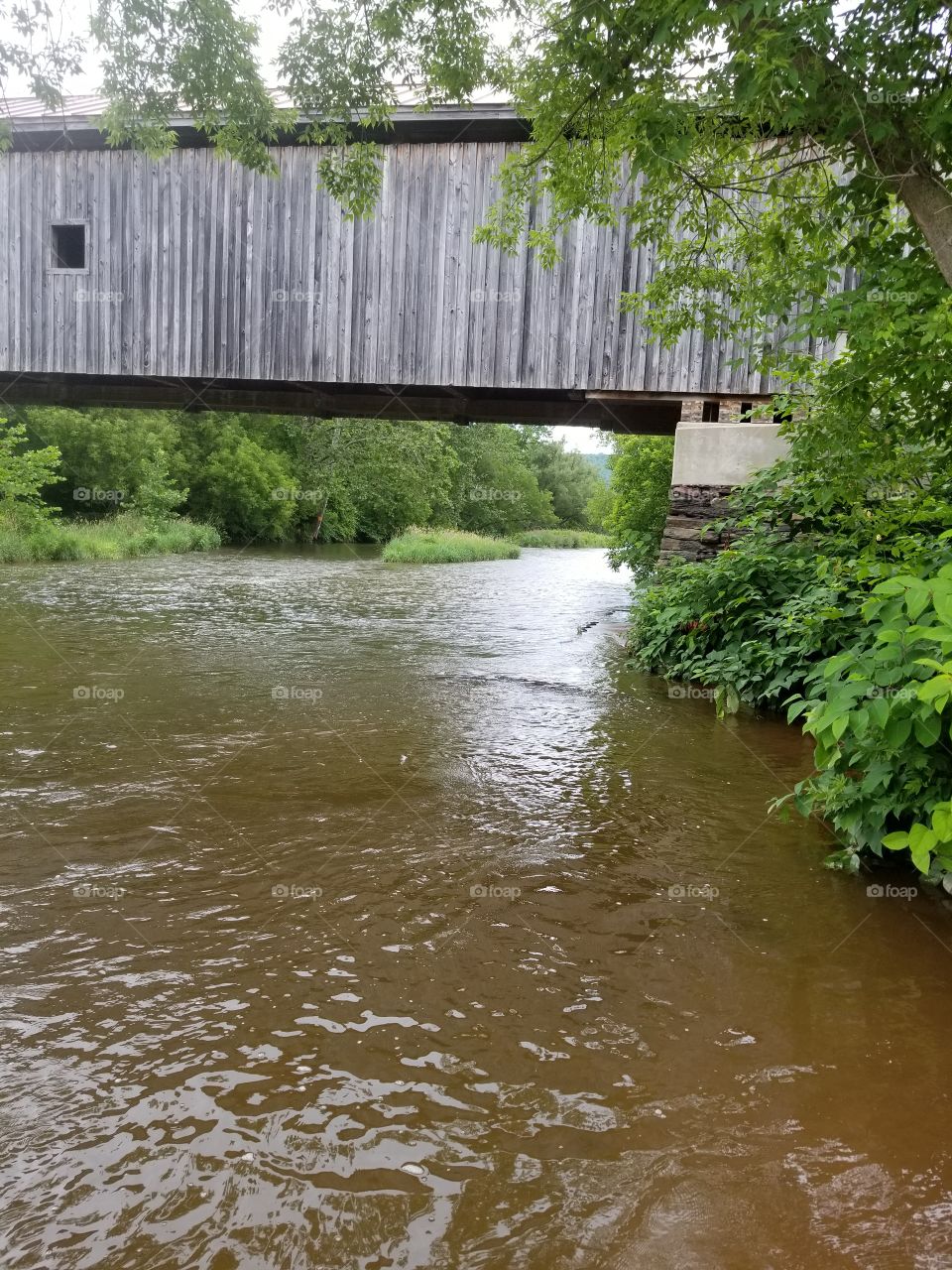 Water, River, Bridge, Wood, Flood