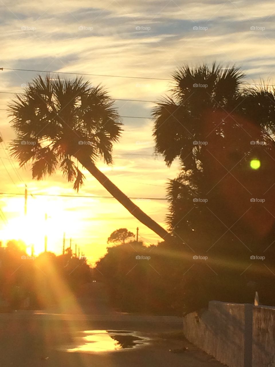 Daytona Beach sunset. Captured walking back from the beach. 