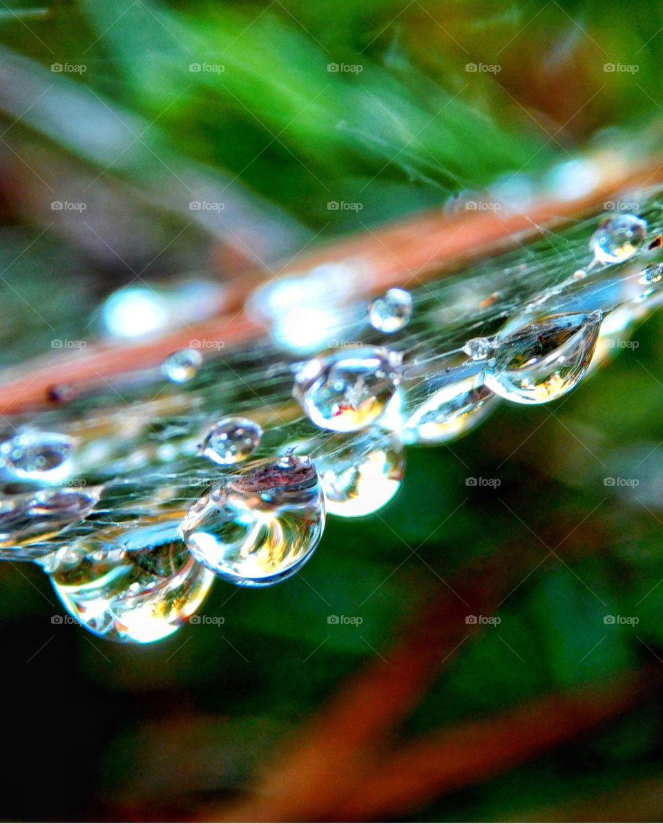 Water drops