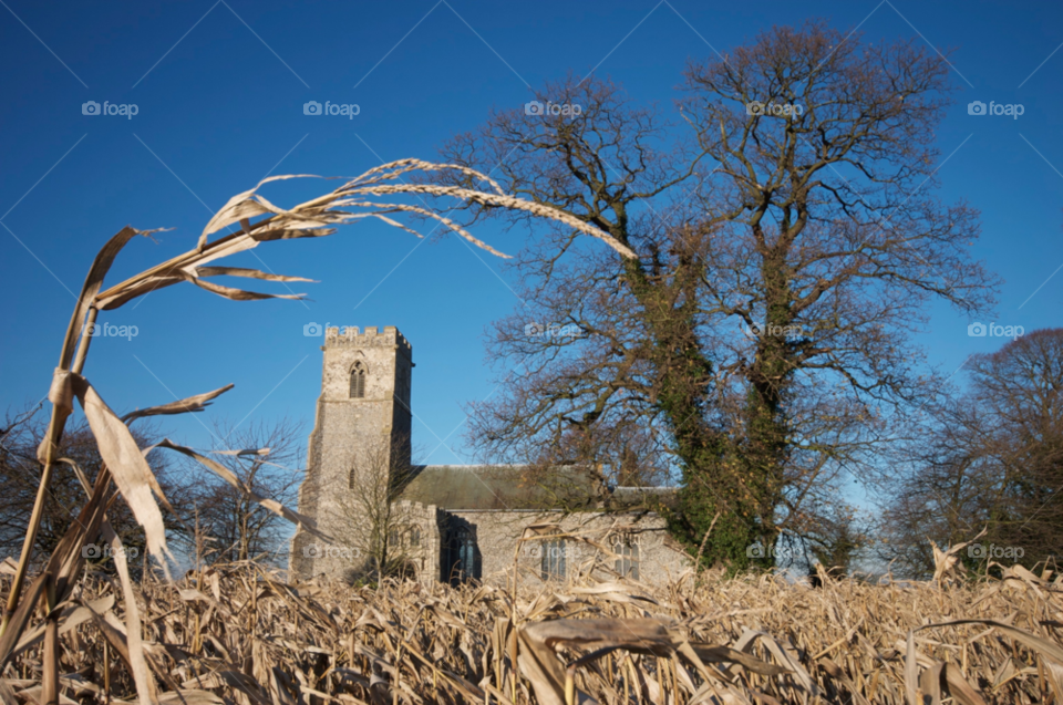 oakley suffolk east anglia england uk church religion cornfield by ckehoe