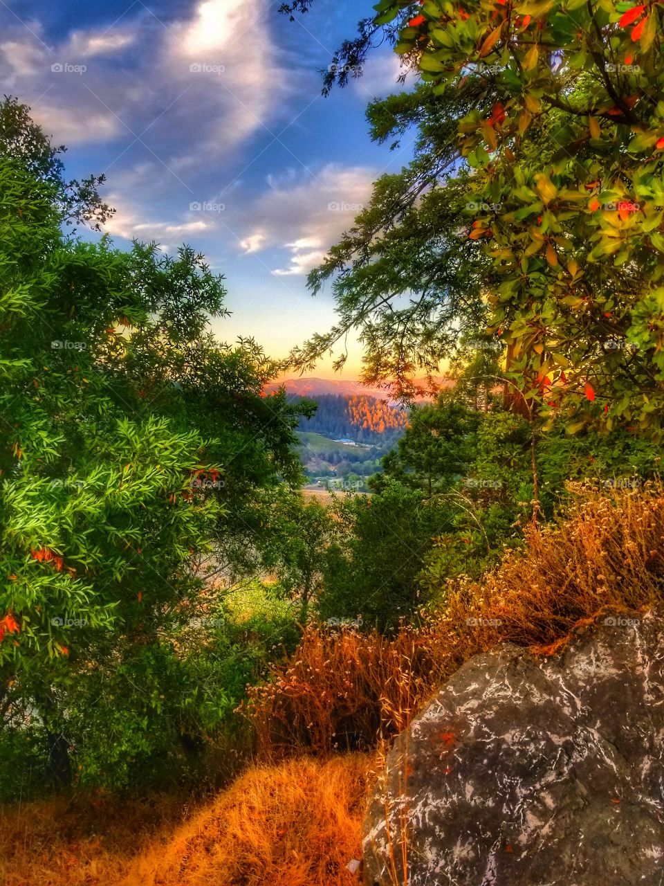 California's Rainbow