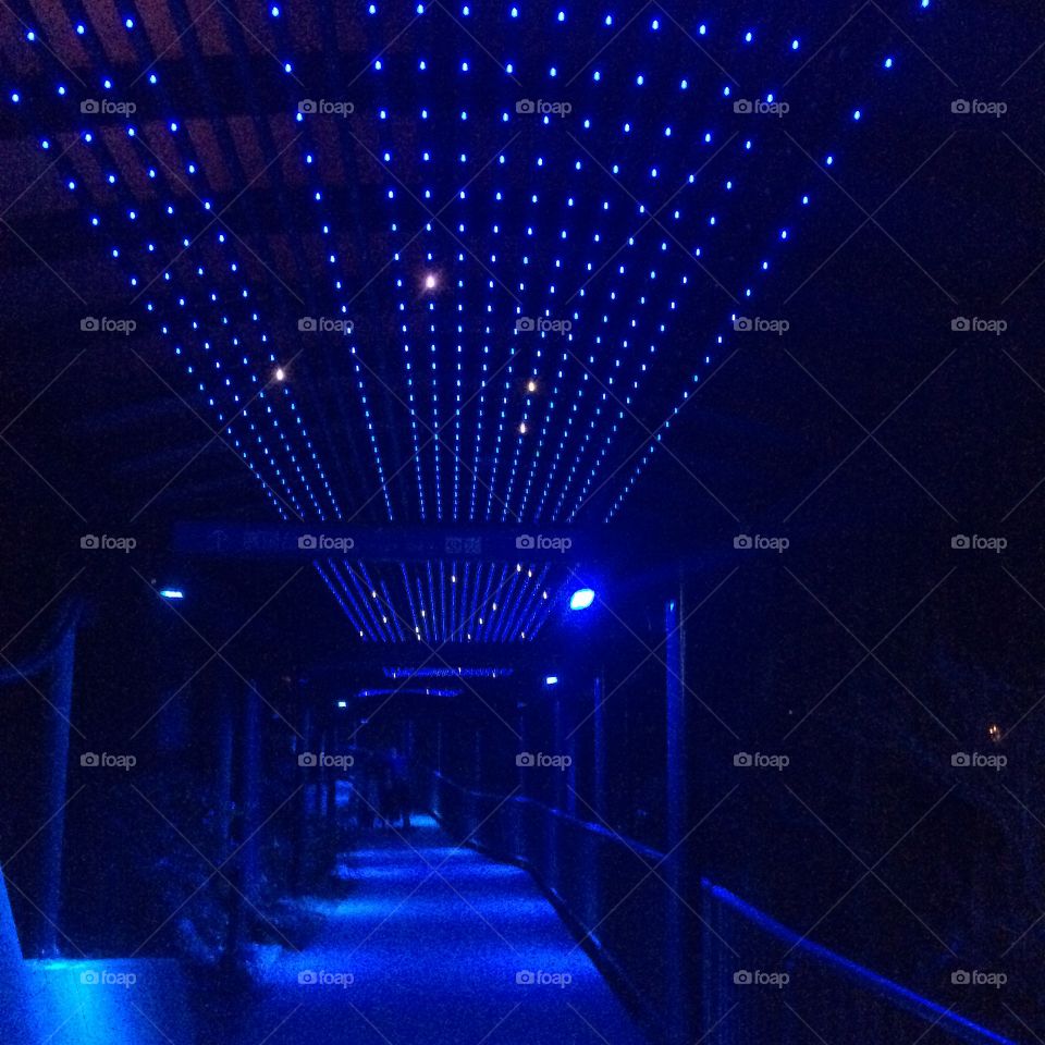 Tunnel of lights 