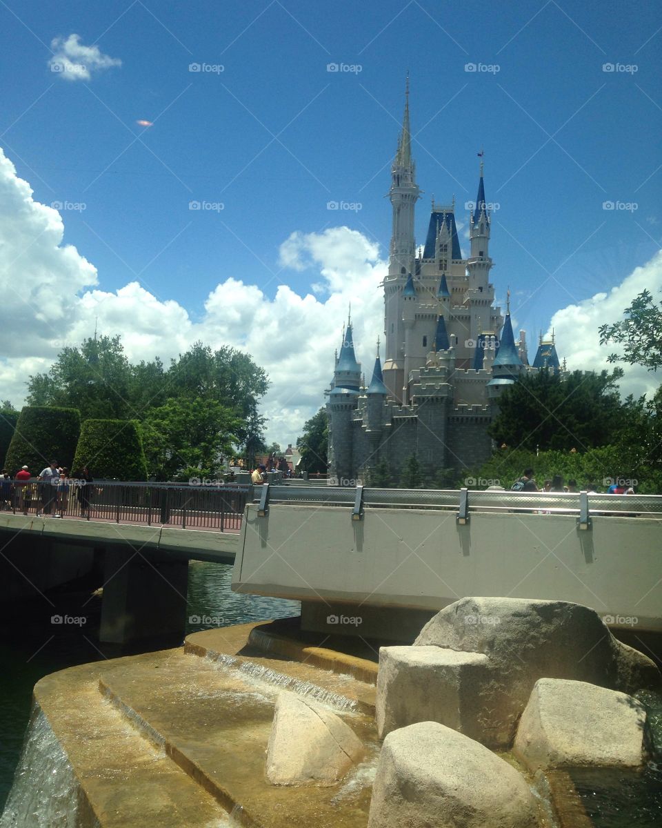 Day at Disney World