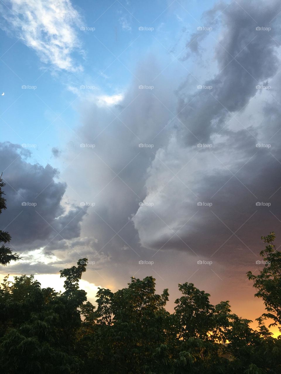 These dark storm clouds moving in at sunset look like a dog and cat running and playing or a wolf and fox