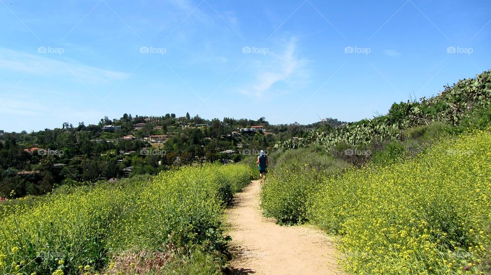 Hiking trails