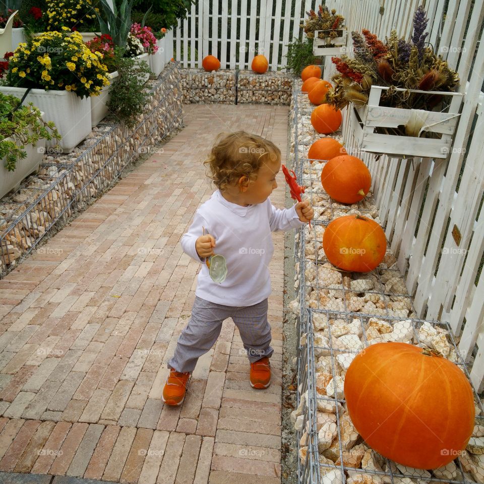 Baby wearing orange shoes for Halloween: "How to break an orange pumpkin with my orange dinosaur"