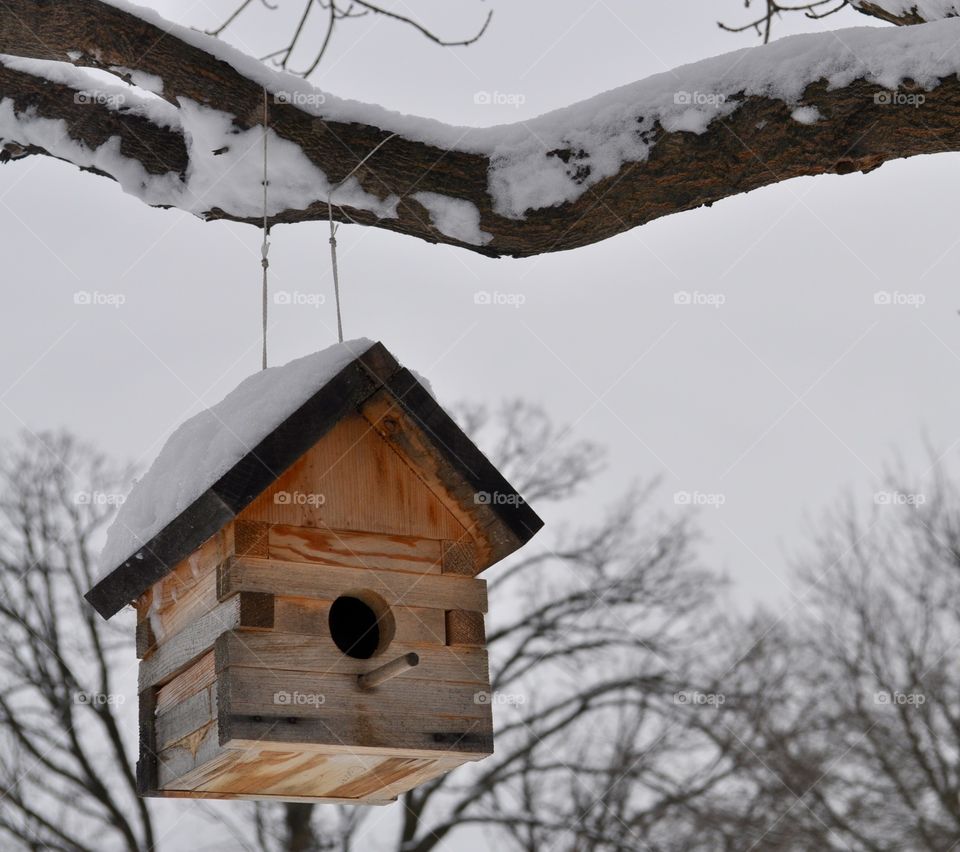 Birdhouse in the snow. Wooden birdhouse hanging from a tree during a snowstorm
