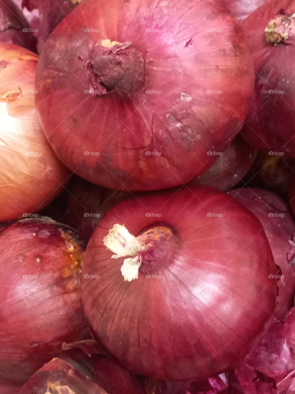 Cebola roxa ou vermelha.  As cebolas  roxas, tem  mais calorias do que as cebolas brancas e, são mais ricas em beta-caroteno, um antioxidante que ajuda a manter a pele saudável  e, é importante para a saúde  dos olhos.