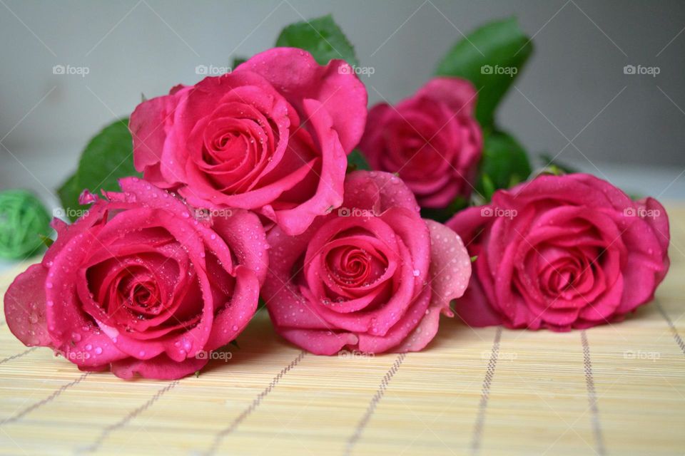 pink roses bouquet view from the ground