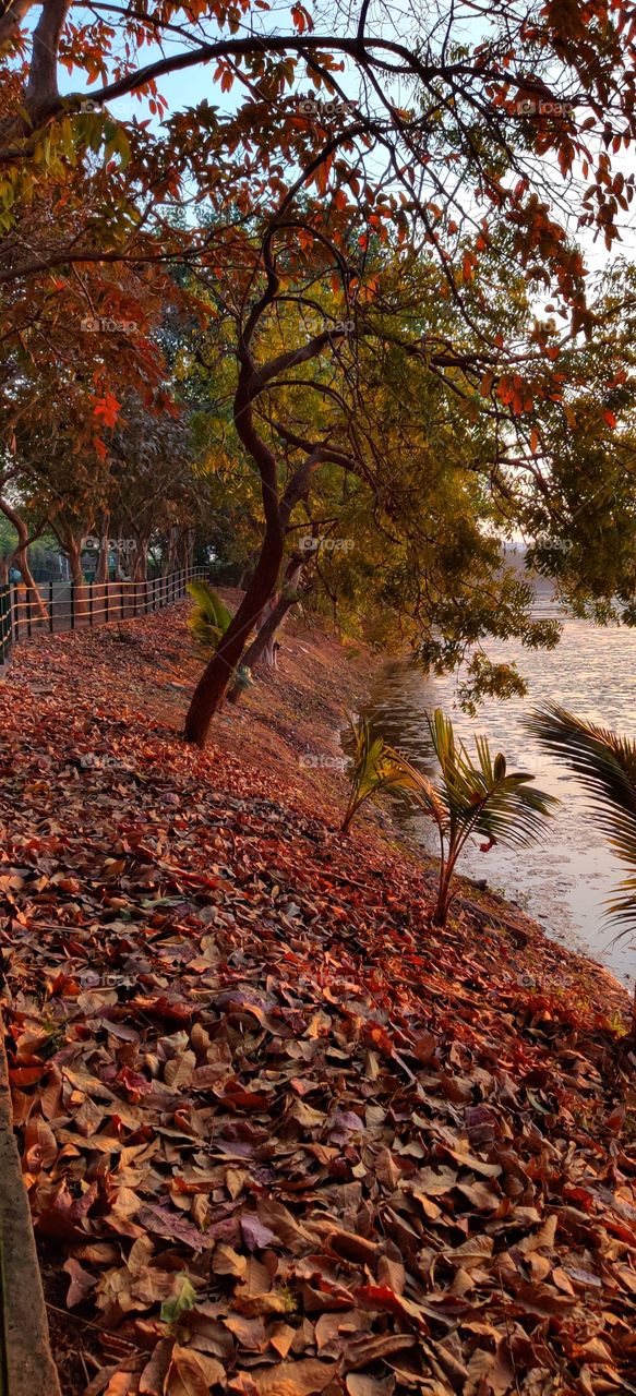 sneh botanical garden, surat