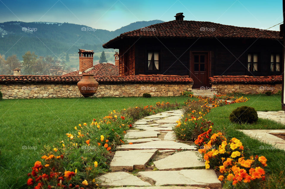 flowers in mountain