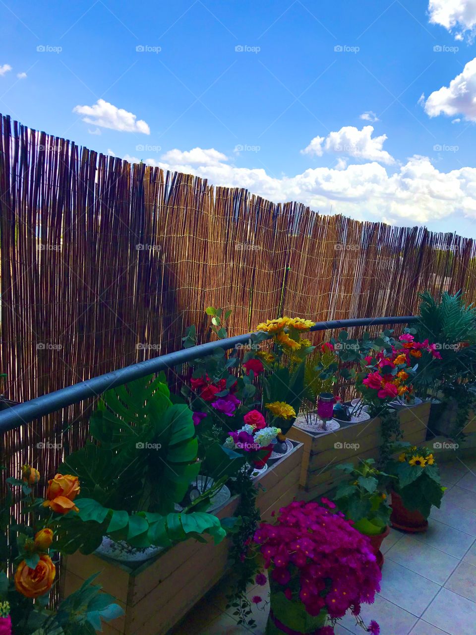 My Magic World Through My Eyes ..!!