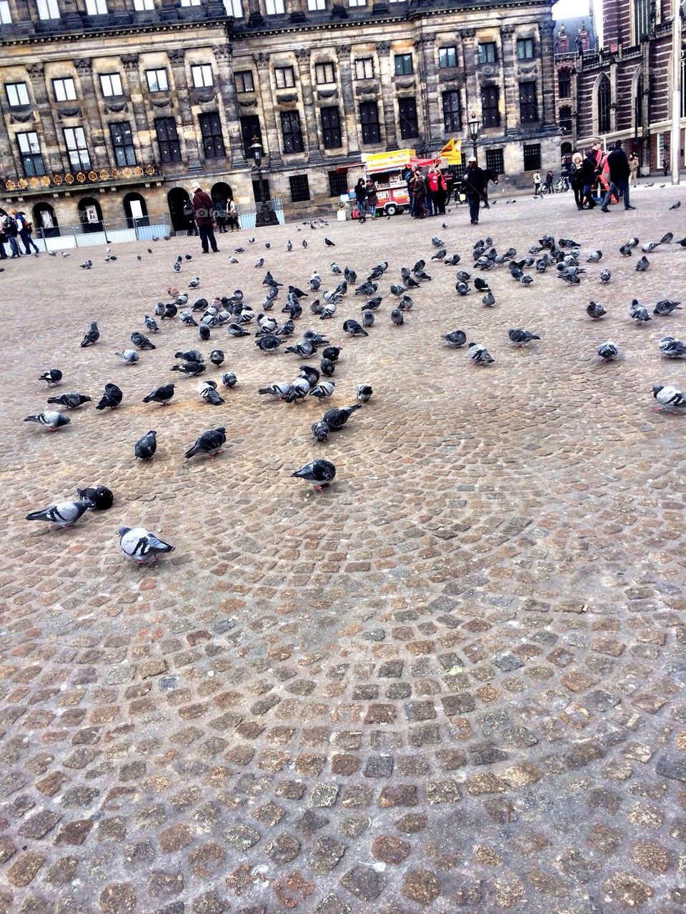 Amsterdam / Dam Square