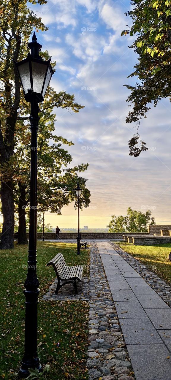 City view in the park at sunset