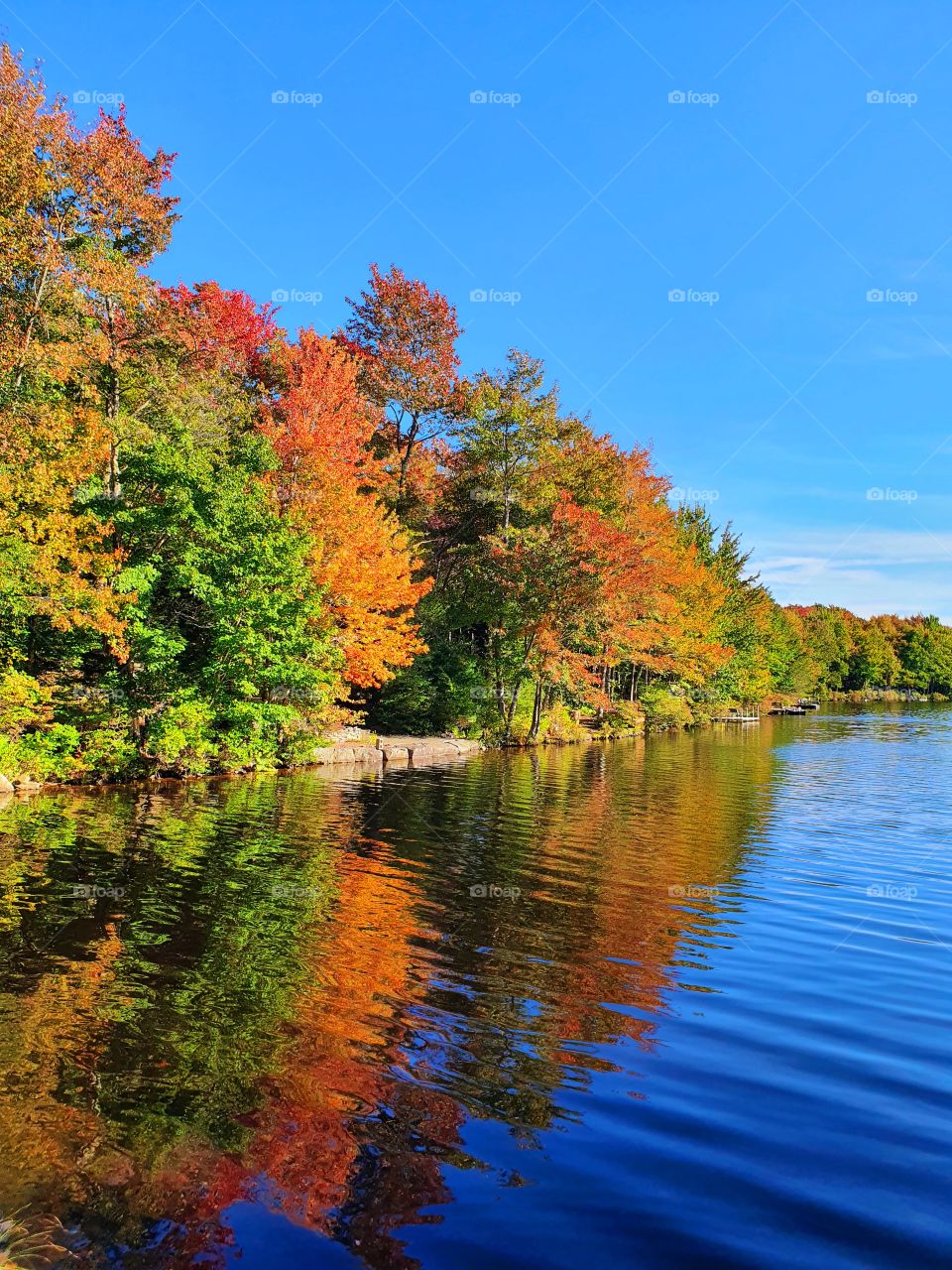 Autumn lake