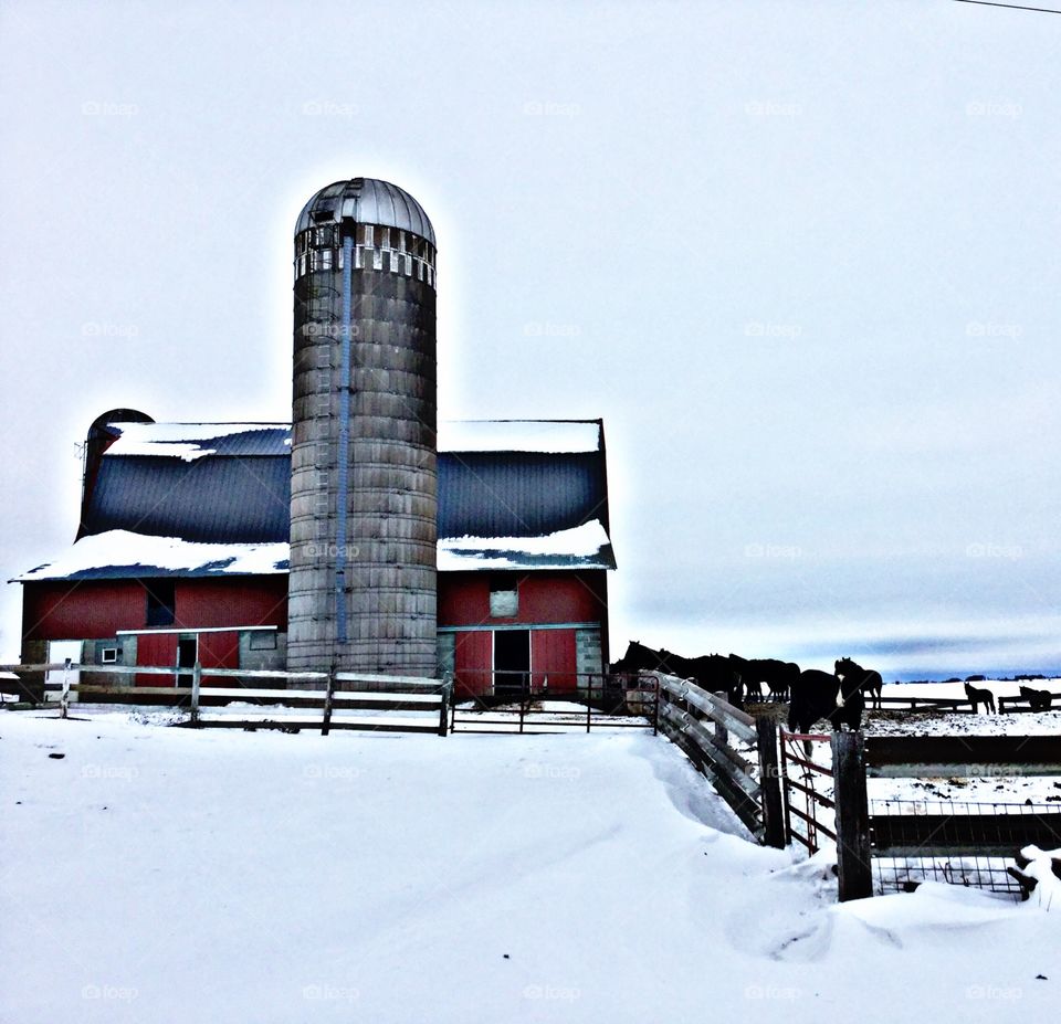 Amish barn 