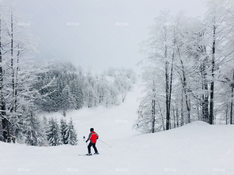 Skier in red ski costume on the ski slope surrounded by snowy forest 
