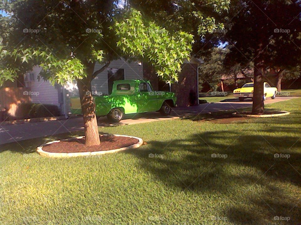 lime green. this old pickup was fully restored last year