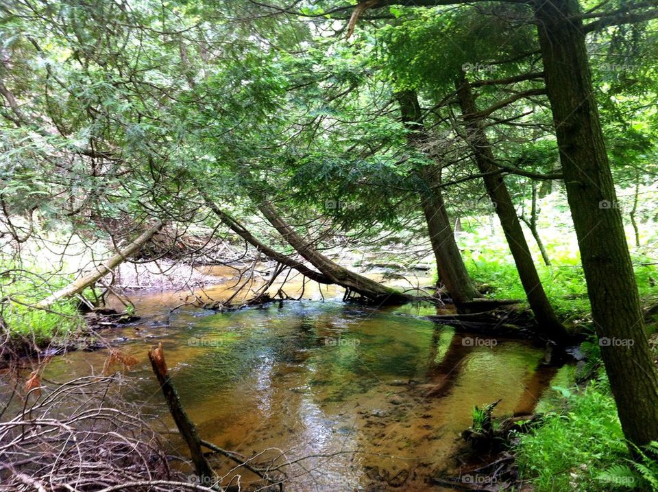 nature water hike stream by serenitykennedy