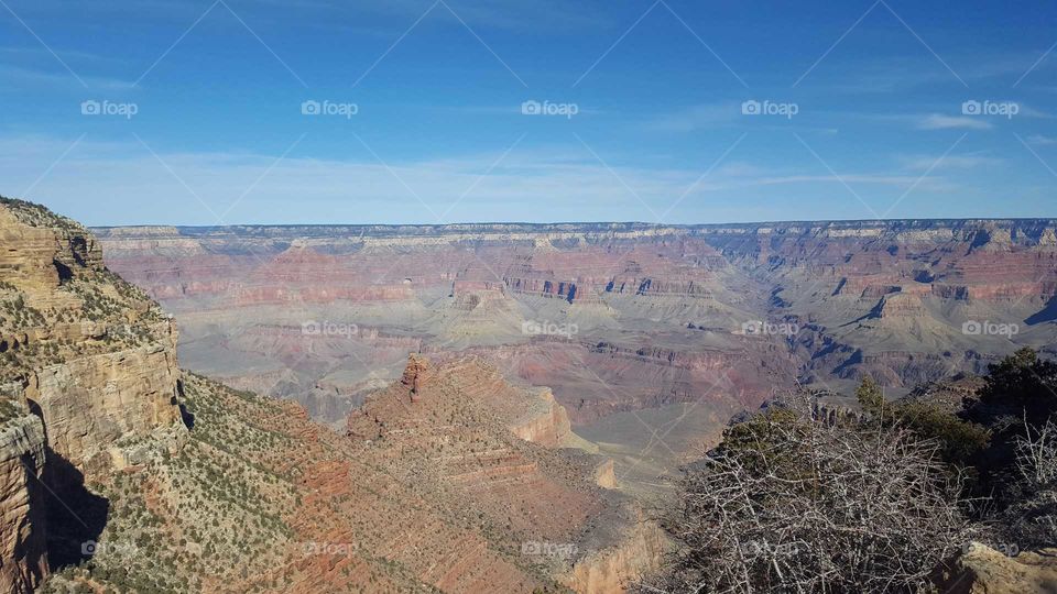 In this photo, a fraction of the Grand Canyon is unveiled. Throughout the sides of the canyon, foliage can be seen scattered on the rocks. A blue, monochromatic sky is on display behind the canyon. The sky is partially filled with wispy white clouds.