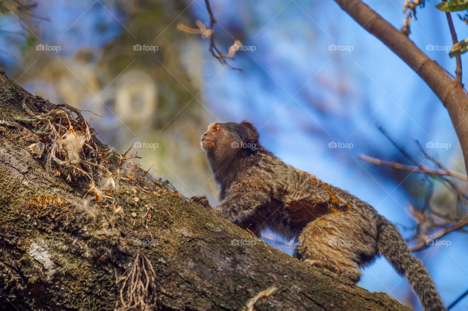 Going straight to the fun.