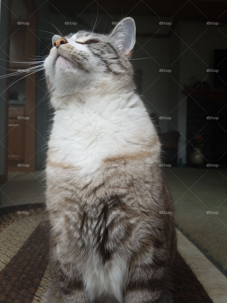 the temptation of the fluffyness is always high