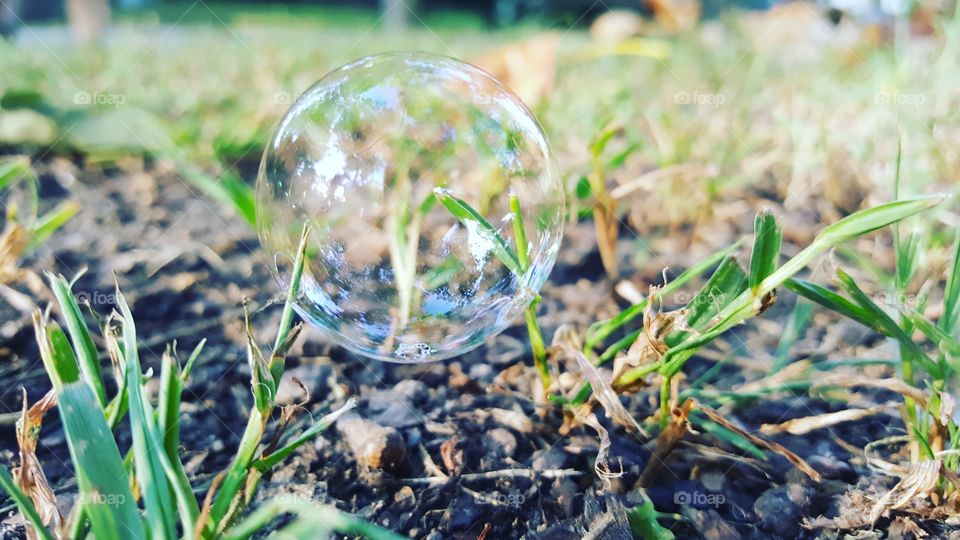 Shiny Bubble