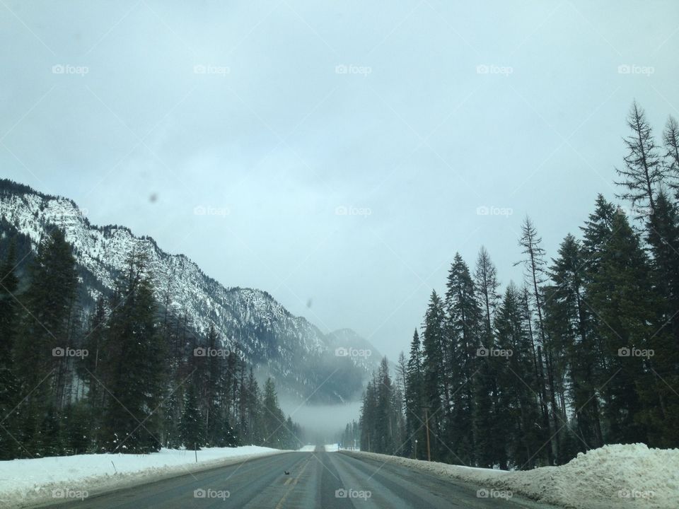 Snow, Winter, Wood, Fog, Landscape