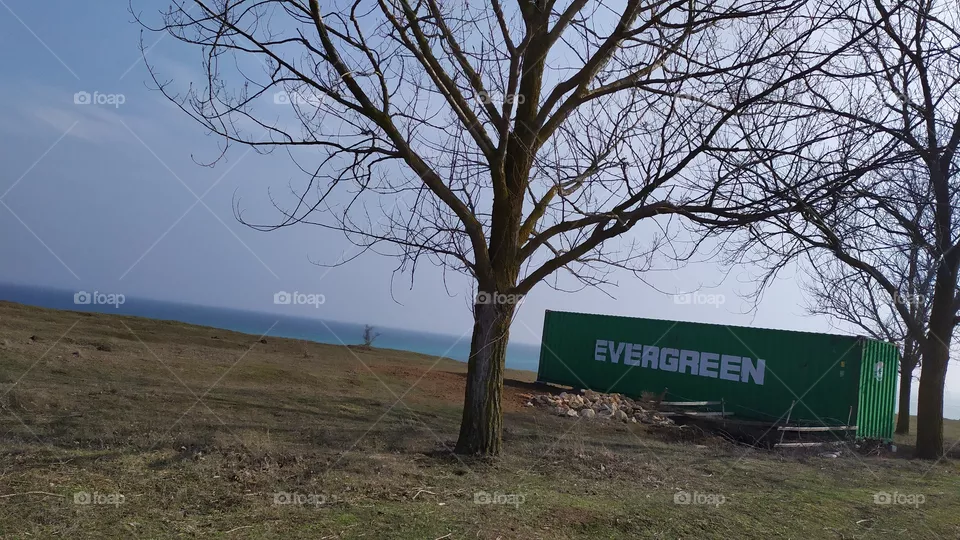 An Abandoned Evergreen Container by the Sea Coast