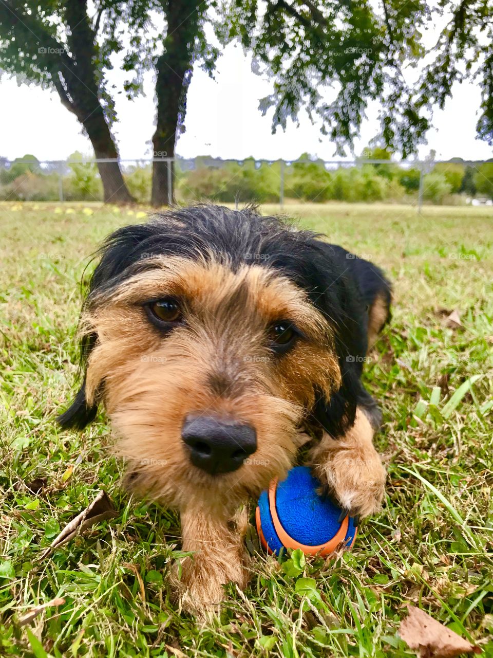 You don’t want this ball. Mine!