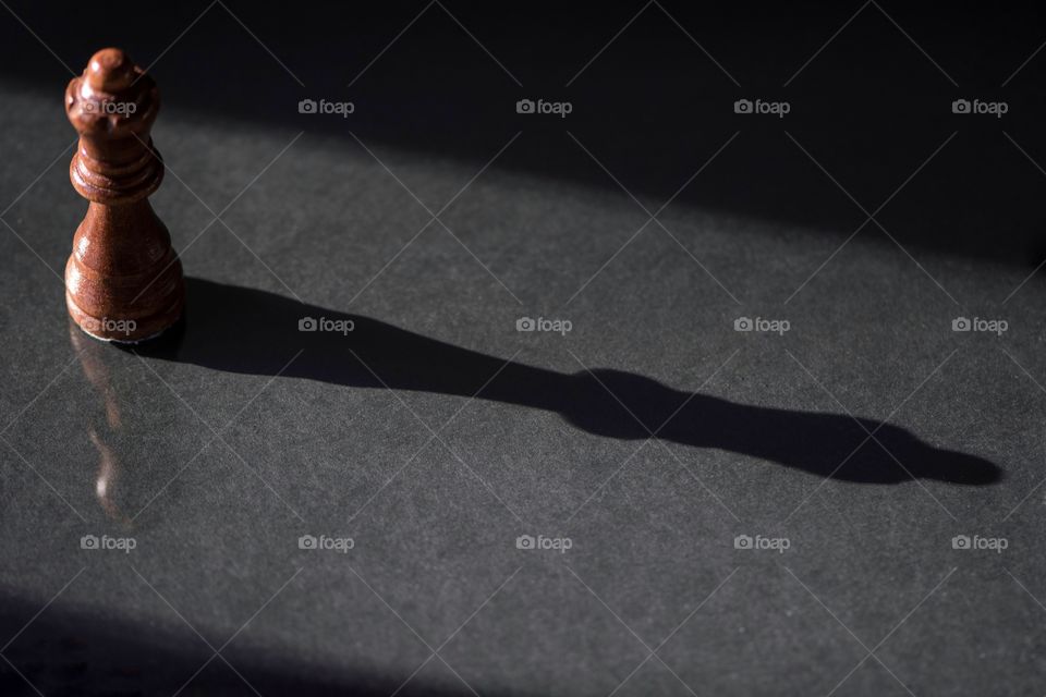 The shadow of the majestic queen