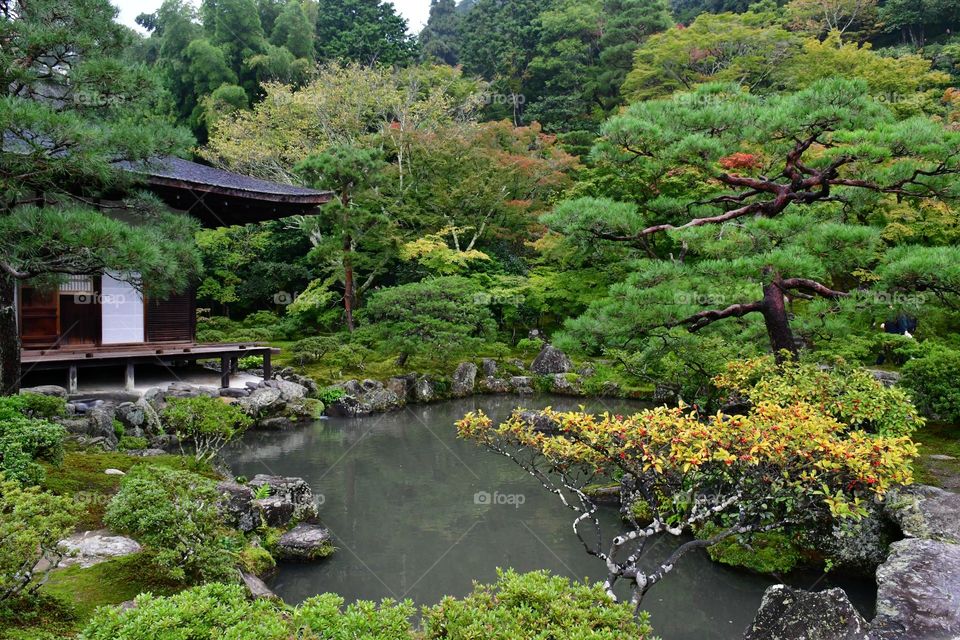 Japanese Zen garden