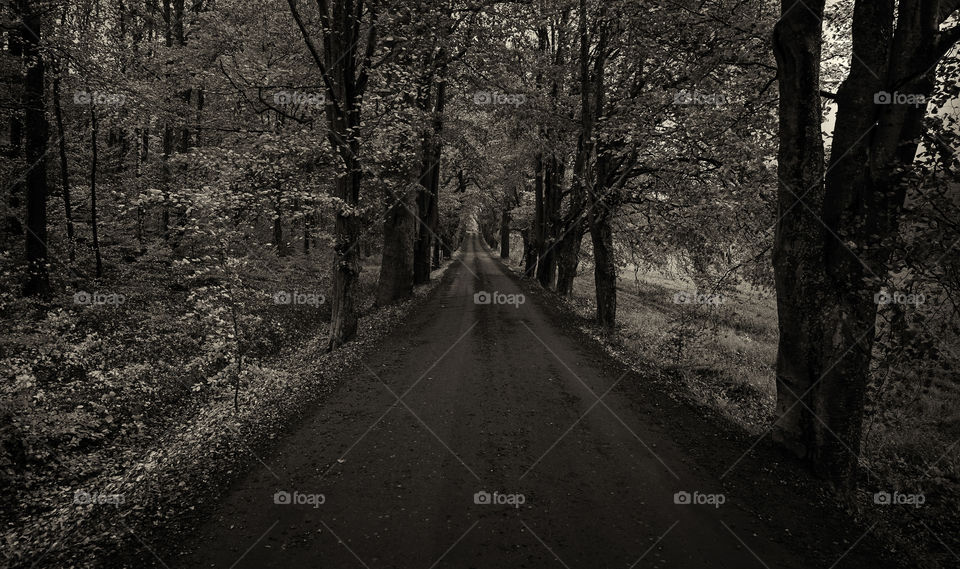 The long and ending road