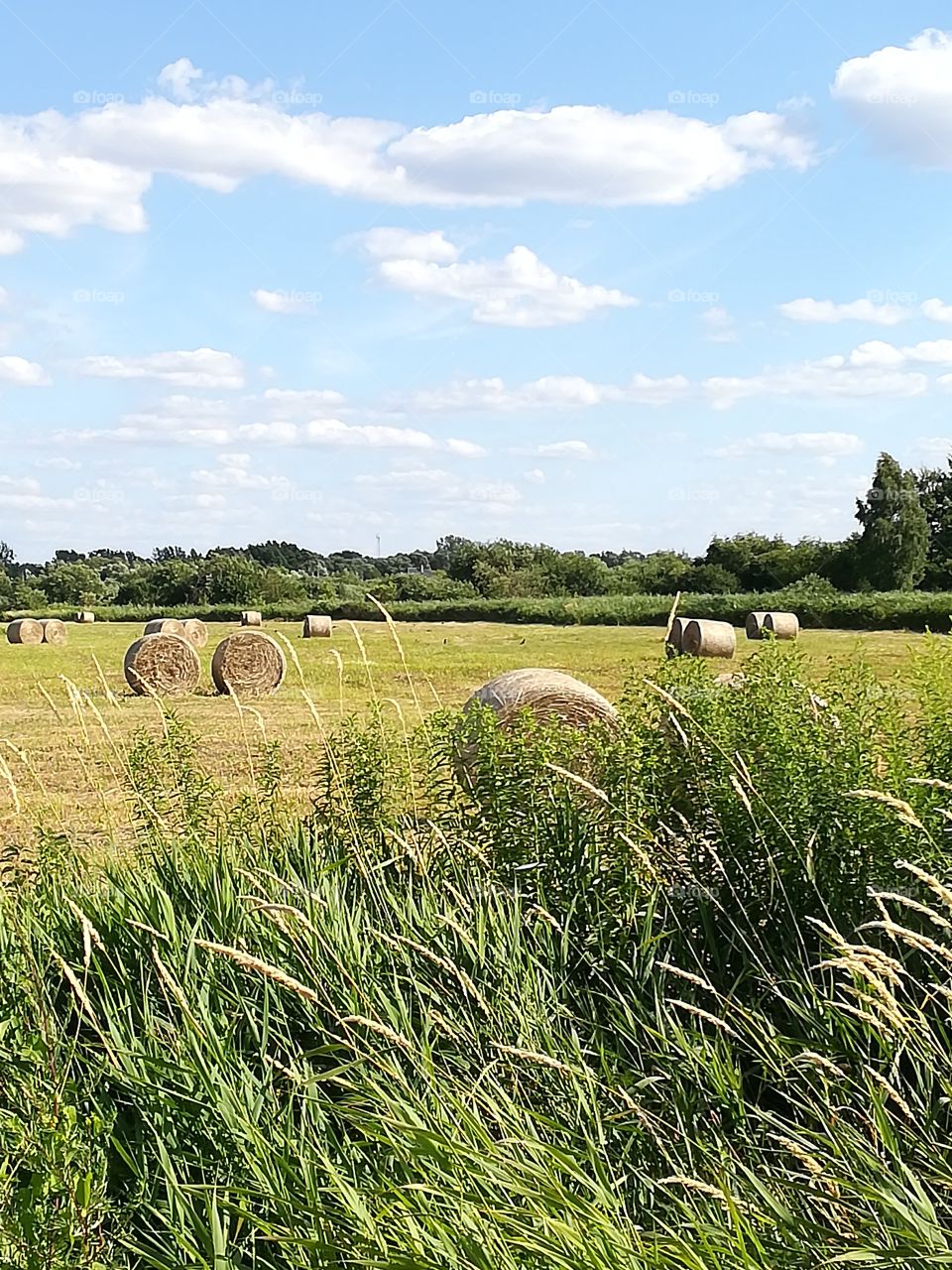 Rural Mazovian Province