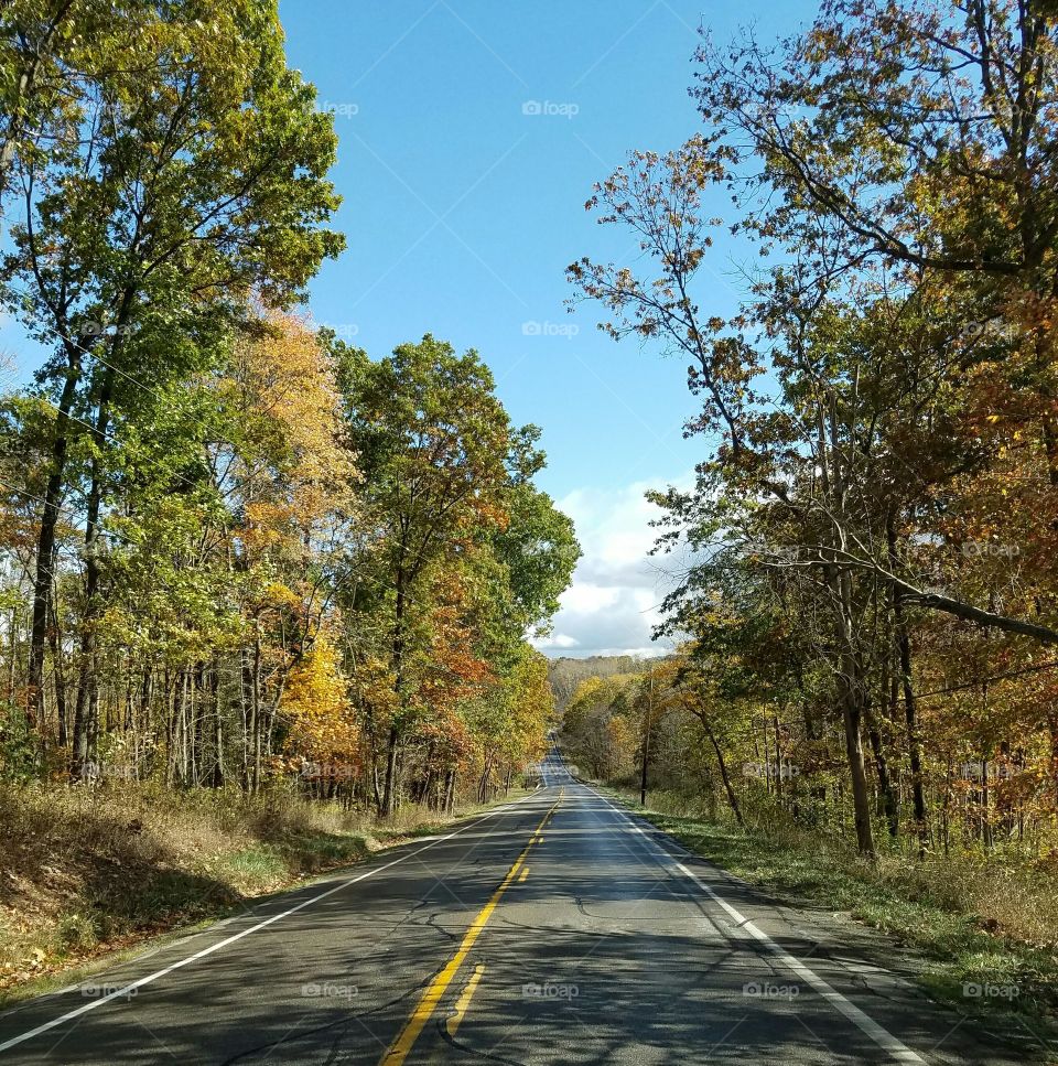 Road trip in the Fall