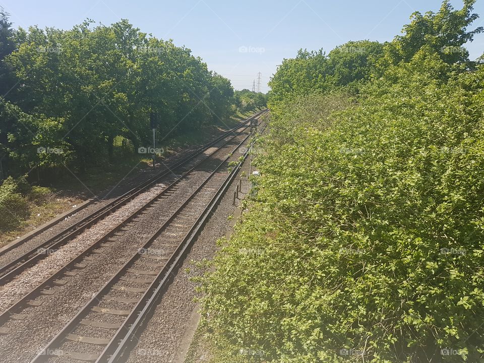 Railway track through a forest